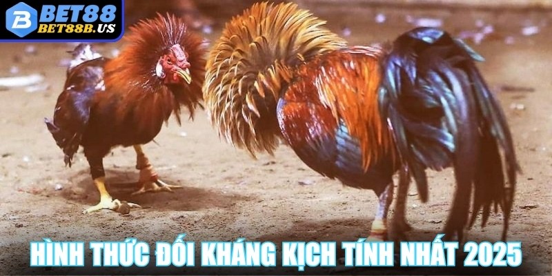 Đá gà Bet88 quy tụ hình thức đối kháng kịch tính nhất 2025