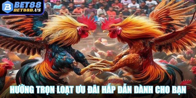 Hưởng trọn loạt ưu đãi hấp dẫn dành cho người chơi