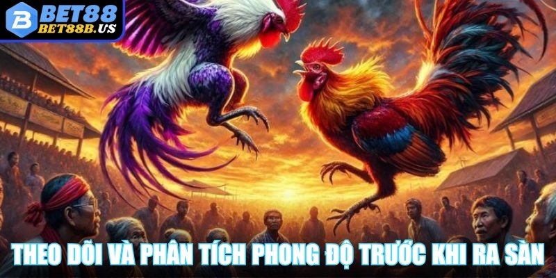 Theo dõi và phân tích phong độ kê chiến trước khi ra sàn